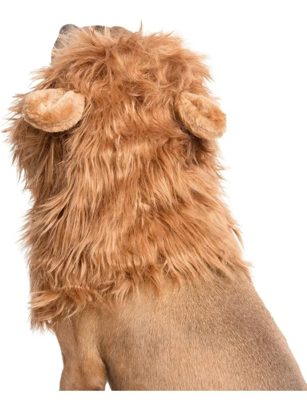 Large Dog Lion Mane Costume & Wig - Fun Pet Halloween Outfit for Dogs